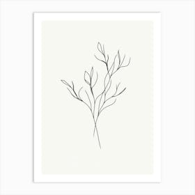 Line Drawing Of A Branch Art Print