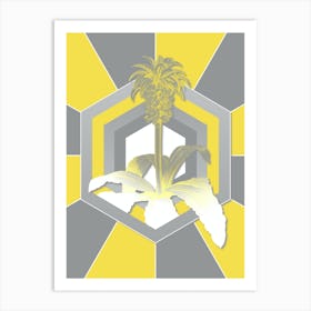 Vintage Eucomis Regia Botanical Geometric Art in Yellow and Gray n.077 Art Print