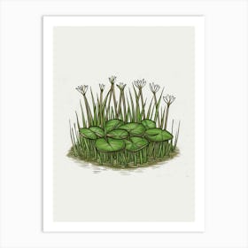 Lily Pads Art Print