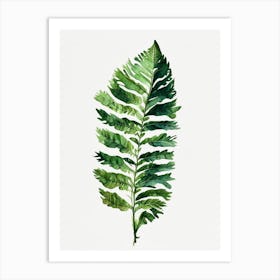 Japanese Tassel Fern Watercolour Art Print