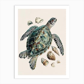Sea Turtle & Shells Vintage Illustration 1 Art Print