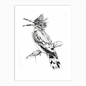 Kingfisher Bird Art Print