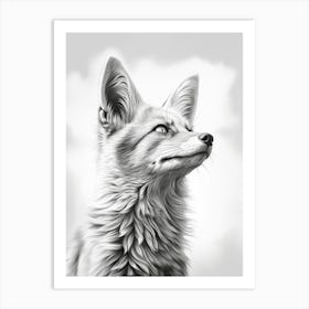 Bengal Fox Portrait Pencil Drawing 5 Art Print