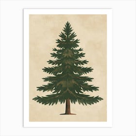 Douglas Fir Tree Minimal Japandi Illustration 4 Art Print