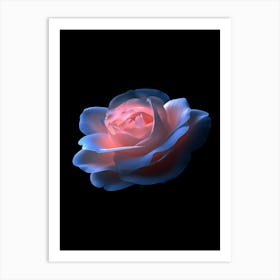 Rose Stock Videos & Royalty-Free Footage Art Print