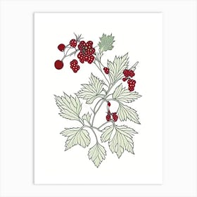 Schisandra Herb William Morris Inspired Line Drawing 1 Art Print