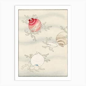 Shell Fish Illustration, Shin Bijutsukai Art Print