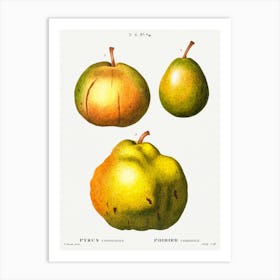 Pear, Pierre Joseph Redoute 1 Art Print