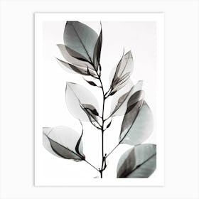 Leaf On A Branch Black And White Flower Silhouette Art Print