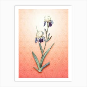 Elder Scented Iris Vintage Botanical in Peach Fuzz Asanoha Star Pattern n.0308 Art Print