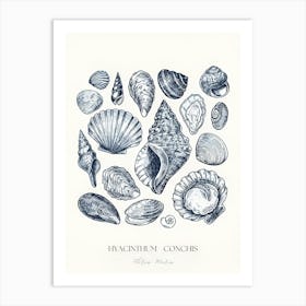 Conch Shells Art Print