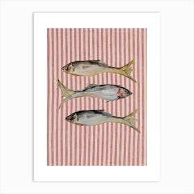 Striped Fish Illustration Poster