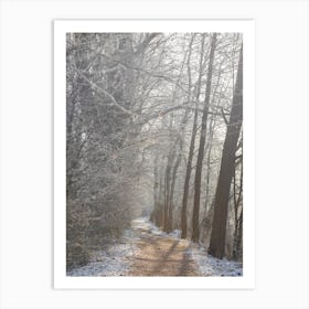 Frosty Path In The Woods Art Print