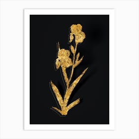 Vintage Elder Scented Iris Botanical in Gold on Black n.0267 Art Print