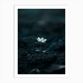 Flower In The Dark 87 Art Print