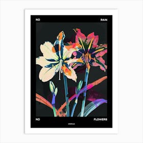 No Rain No Flowers Poster Amaryllis 7 Art Print