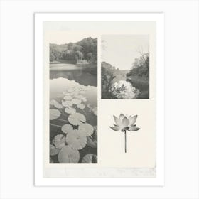 Lotus Flower Photo Collage 2 Art Print