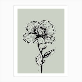 Line Art Orchids Flowers Illustration Neutral 9 Art Print