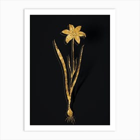 Vintage Lady Tulip Botanical in Gold on Black n.0418 Art Print