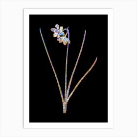 Stained Glass Narcissus Odorus Mosaic Botanical Illustration on Black Art Print