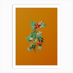 Vintage Morocco Hawthorn Flower Botanical on Sunset Orange n.0070 Art Print