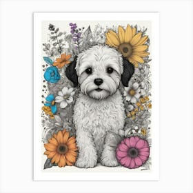 Shih Tzu Art Print