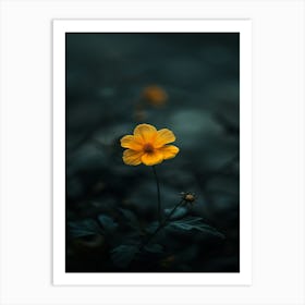 Single Yellow Flower 51 Art Print