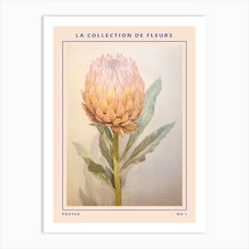 Protea French Flower Botanical Poster Art Print