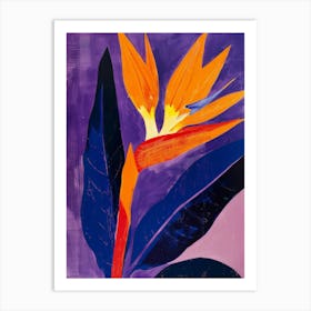 Bird Of Paradise 46 Art Print