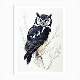Spectacled Owl Drawing 4 Art Print