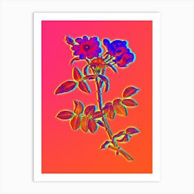 Neon Lady Monson Rose Bloom Botanical in Hot Pink and Electric Blue n.0582 Art Print