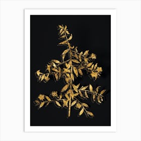 Vintage Goji Berry Branch Botanical in Gold on Black n.0442 Art Print