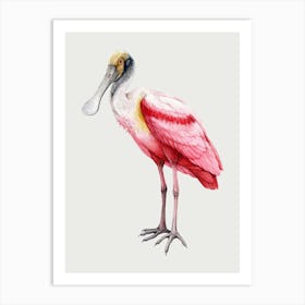 Spoonbill Art Print