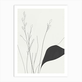 Black And White Drawing Of A Plant 3 Art Print