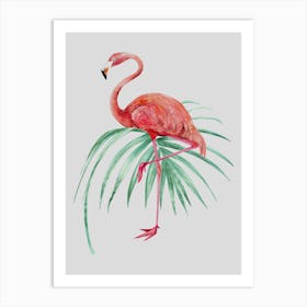 Flamingo Art Print