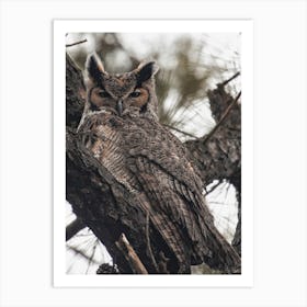 Rustic Great Horned Owl Art Print