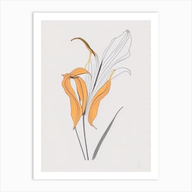 Tiger Lily Floral Minimal Line Drawing 3 Flower Art Print