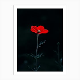 Single Red Flower 8 Art Print