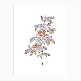 Stained Glass Single May Rose Mosaic Botanical Illustration on White n.0206 Art Print