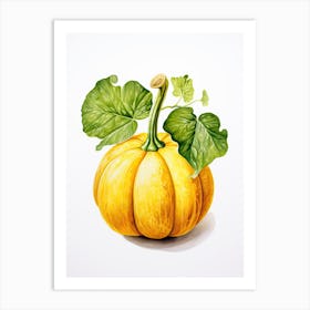 Acorn Squash Pumpkin Watercolour Illustration 4 Art Print