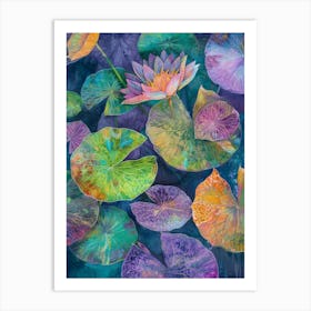 Water Lilies 12 Art Print