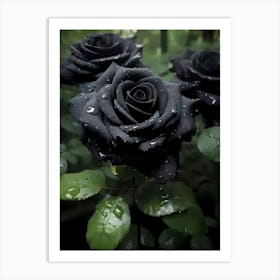 Black Roses Art Print