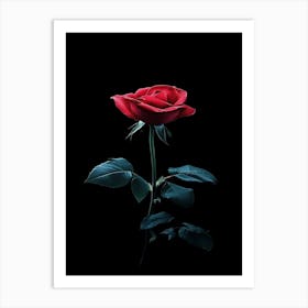 Red Rose On Black Background 75 Art Print