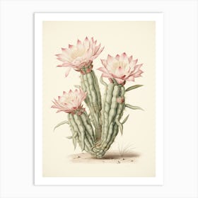 Vintage Cactus Illustration Chamaecereus Silvestrii 2 Art Print