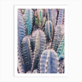 Cactus 2 Art Print