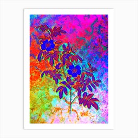 Musk Rose Botanical in Acid Neon Pink Green and Blue n.0061 Art Print