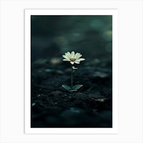 Flower In The Dark 26 Art Print