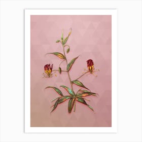 Vintage Flame Lily Botanical Art on Crystal Rose n.0599 Art Print