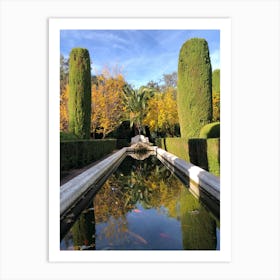 Water with fish # 2 -Series: the beautiful garden Art Print