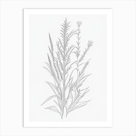 White Willow Herb William Morris Inspired Line Drawing Art Print